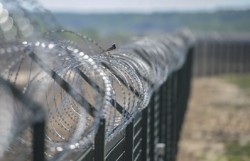 Латвия начала строить забор на границе с Россией Латвия начала строить забор на границе с Россией