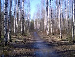 Похолодание в Москве закончилось