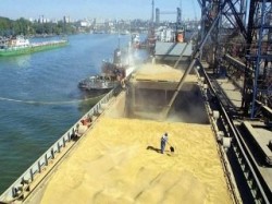 Бумеранг хлебного экспорта Бумеранг хлебного экспорта