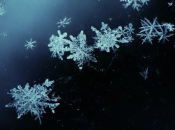 Сегодня будет снежно Сегодня будет снежно