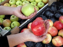 Яблочный Спас с  импортными плодами