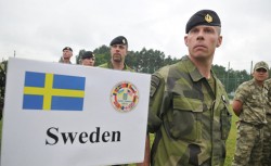 Швеция готова ввести войска в Донбасс