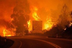 В Португалии в результате лесного пожара погибли 62 человека