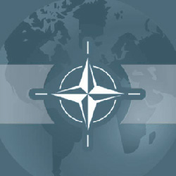 Украина и Грузия не выполняют условий НАТО