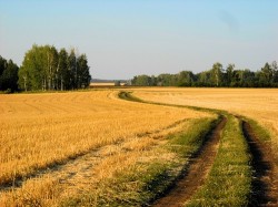 А куда мы, русские, денемся? А куда мы, русские, денемся?