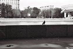 В Москве будет влажно и душно В Москве будет влажно и душно
