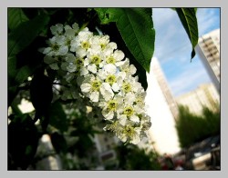 Погода в Москве все еще праздничная Погода в Москве все еще праздничная