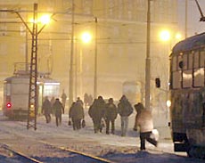 На выходных ударят морозы На выходных ударят морозы