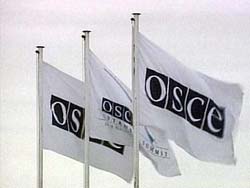 В Вене открывается сессия ОБСЕ