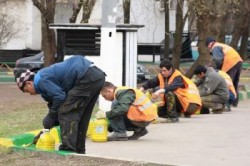 Таджикам дадут три года на работу Таджикам дадут три года на работу