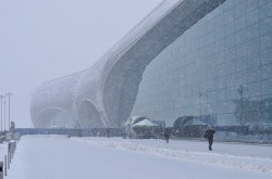 ФРГ выразила России протест в связи с отказом впустить ученого ФРГ выразила России протест в связи с отказом впустить ученого