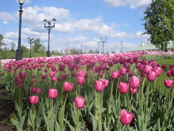 В Москве становится жарко