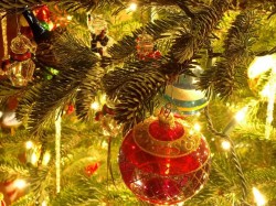 С Новым годом! С Новым годом!