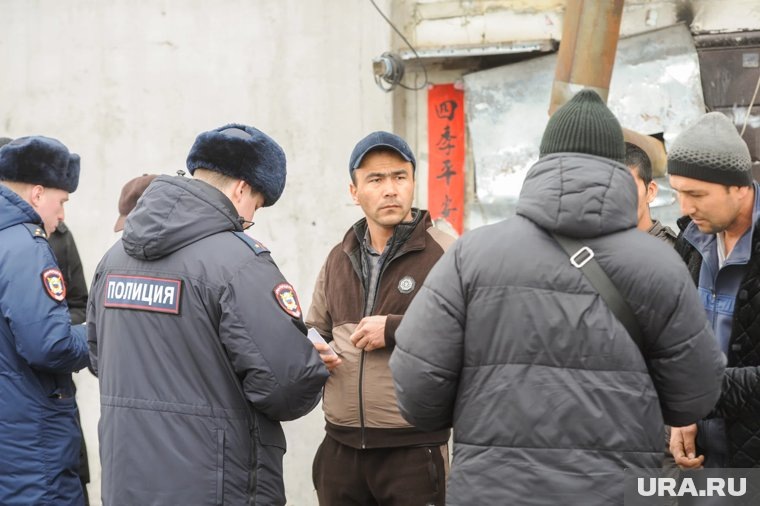 Мигранты: 100% оргнабор