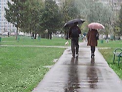 Выходные будут прохладными Выходные будут прохладными