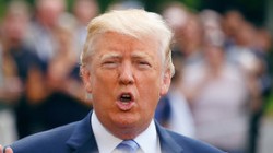 Трамп поручил подготовить новый пакет санкций против России Трамп поручил подготовить новый пакет санкций против России