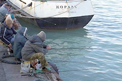 Из призывников сделают рыбаков