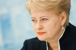Литва пугает Прибалтику «российской угрозой» Литва пугает Прибалтику «российской угрозой»