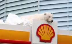 США разрешили Shell бурение в Арктике