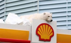 США разрешили Shell бурение в Арктике США разрешили Shell бурение в Арктике