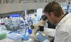 Ученые нашли лекарство от рассеянного склероза Ученые нашли лекарство от рассеянного склероза