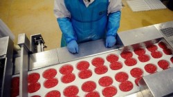 Онищенко не боится конины Онищенко не боится конины