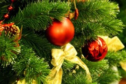 С Новым годом! С Новым годом!