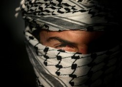 США ждут терактов США ждут терактов