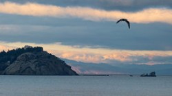 В Крыму задержали украинское судно В Крыму задержали украинское судно
