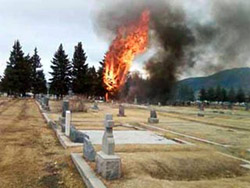 В США самолет с детьми упал на кладбище