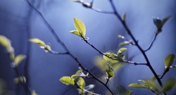 Синоптики предупреждают о дождливых выходных Синоптики предупреждают о дождливых выходных