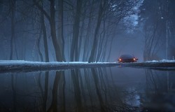 Судьба Химкинского леса решена Судьба Химкинского леса решена