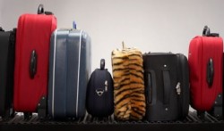 Таможенный союз утяжеляет чемоданы Таможенный союз утяжеляет чемоданы