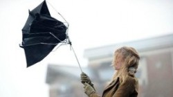 В Москве появится система штормового предупреждения В Москве появится система штормового предупреждения
