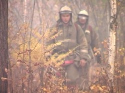 Шойгу ищет виновных в пожарах в Братске