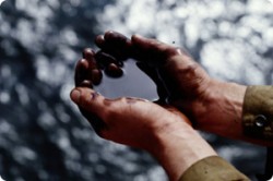 Россия обеспечит Китай нефтью Россия обеспечит Китай нефтью