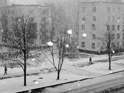 В выходные пойдет снег В выходные пойдет снег
