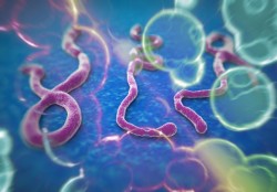 Россия поможет Гвинее справиться с Эболой