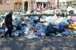 Приключения львовского мусора Приключения львовского мусора