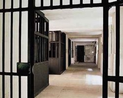 СПЧ планирует масштабную амнистию СПЧ планирует масштабную амнистию