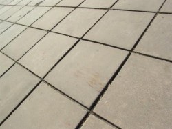 Собянин развивает семейный бизнес Собянин развивает семейный бизнес