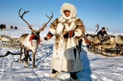 Покорители Севера Покорители Севера