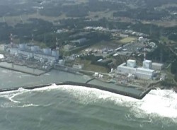 «Фукусима-1» заражает море радиацией