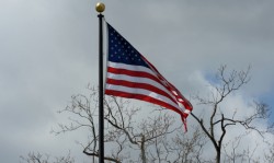 Половина штатов США отказалась принимать сирийских беженцев Половина штатов США отказалась принимать сирийских беженцев