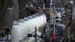 Производители молока пожаловались на Россельхознадзор Производители молока пожаловались на Россельхознадзор