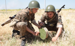 Почему мы разминируем Пальмиру Почему мы разминируем Пальмиру
