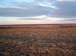 В Мальцеве без Мальцева В Мальцеве без Мальцева