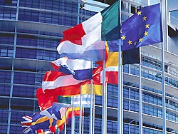 Европа просит ирландцев одуматься Европа просит ирландцев одуматься