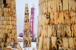 ДНК-напасть ДНК-напасть