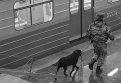 Полиция готова защитить метро Полиция готова защитить метро